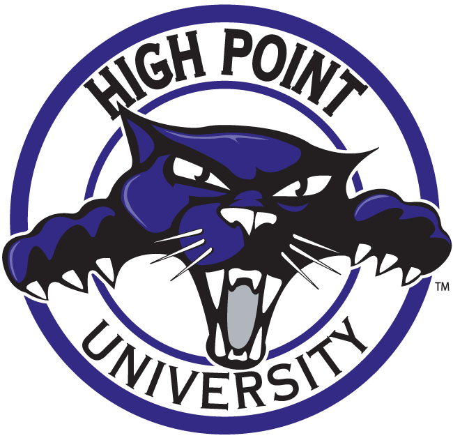 High Point Panthers 2004-2011 Alternate Logo 01 iron on paper